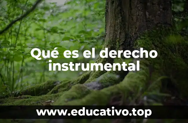 Qué es el derecho instrumental