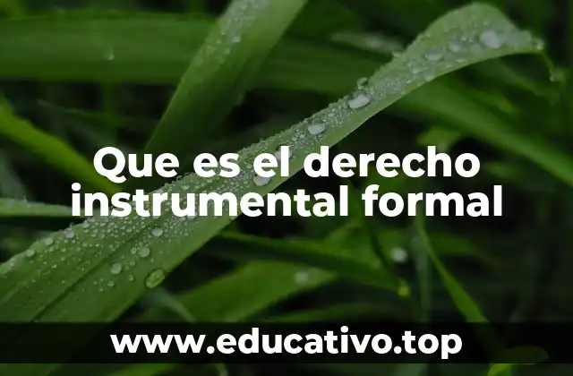 Que es el derecho instrumental formal