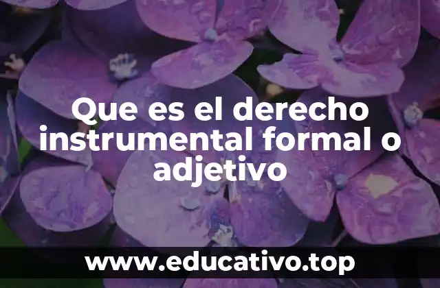 Que es el derecho instrumental formal o adjetivo