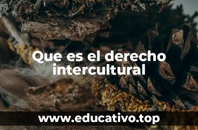 La intersección entre cultura y justicia