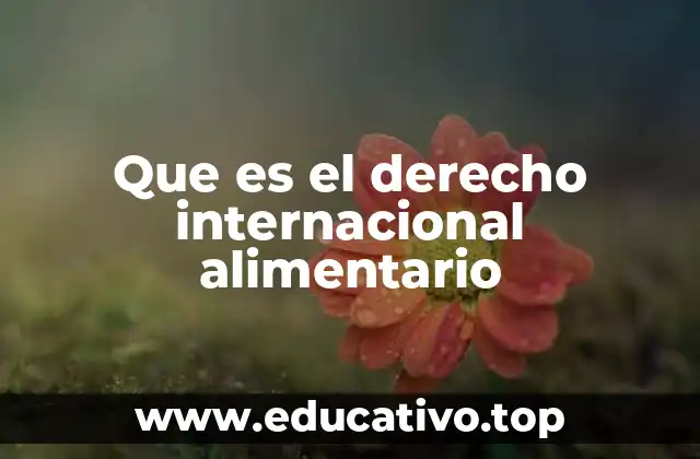 Que es el derecho internacional alimentario