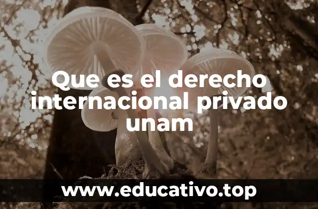 Que es el derecho internacional privado unam