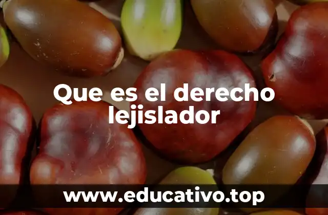 Que es el derecho lejislador