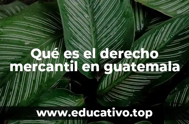 Qué es el derecho mercantil en guatemala