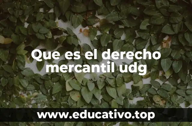 Que es el derecho mercantil udg