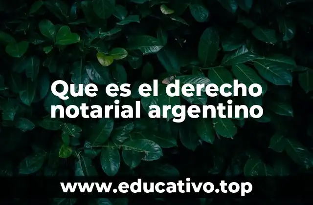 Que es el derecho notarial argentino