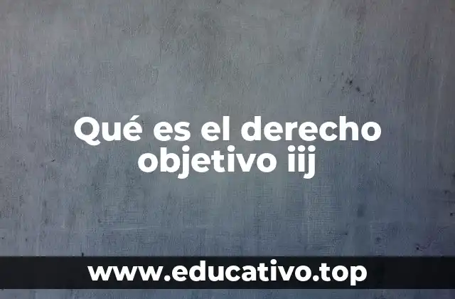 Qué es el derecho objetivo iij