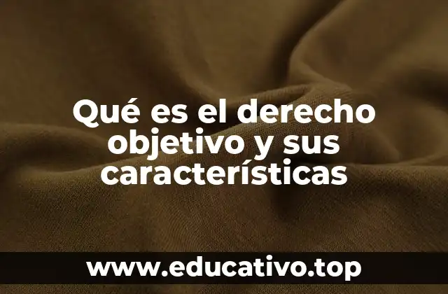 Qué es el derecho objetivo y sus características