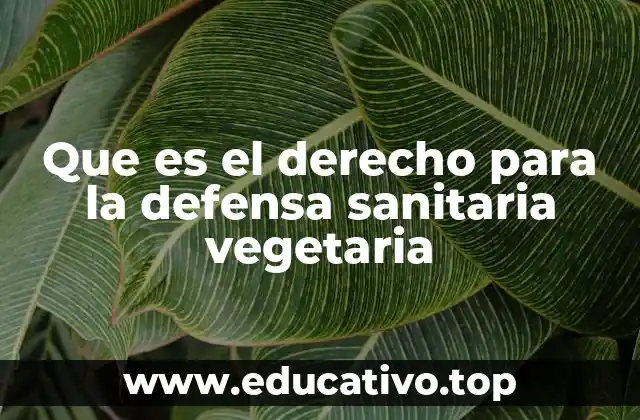Que es el derecho para la defensa sanitaria vegetaria