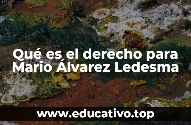 Qué es el derecho para Mario Álvarez Ledesma