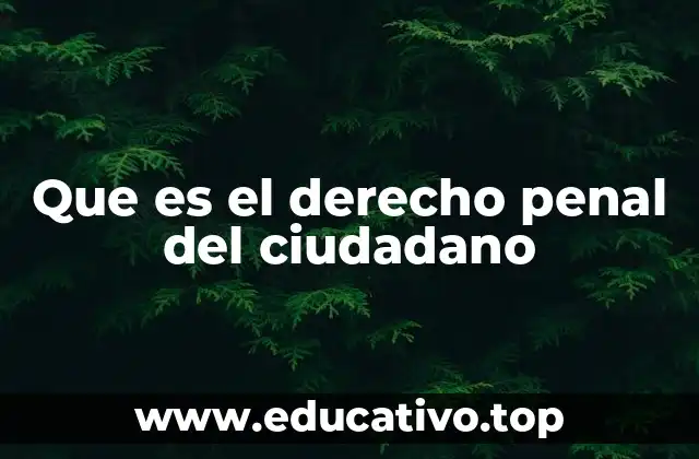 Que es el derecho penal del ciudadano