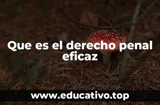 Que es el derecho penal eficaz