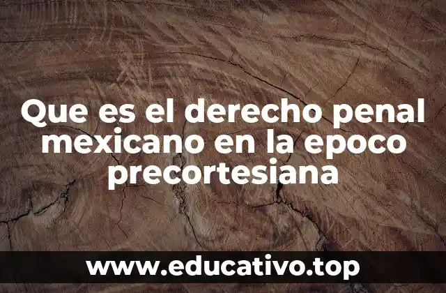 Que es el derecho penal mexicano en la epoco precortesiana