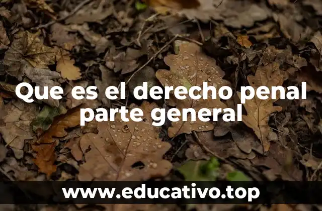 Que es el derecho penal parte general