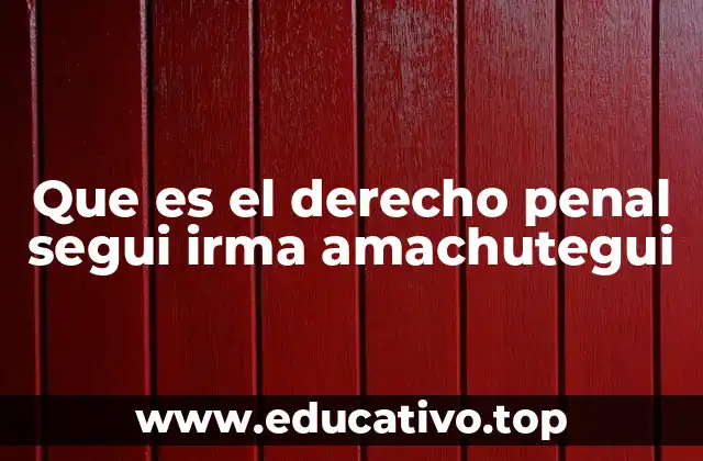 Que es el derecho penal segui irma amachutegui