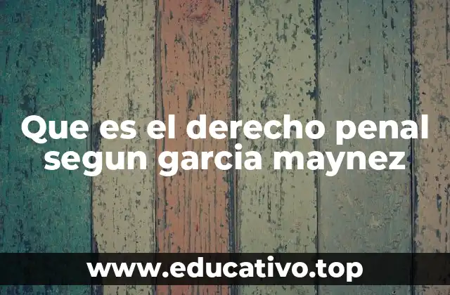 Que es el derecho penal segun garcia maynez