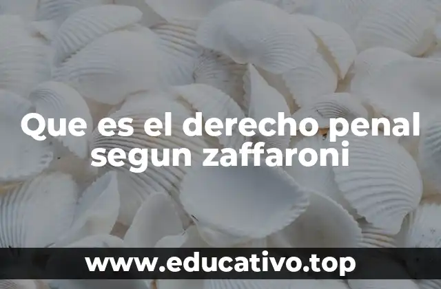 Que es el derecho penal segun zaffaroni