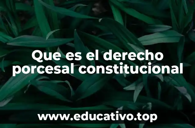 Que es el derecho porcesal constitucional