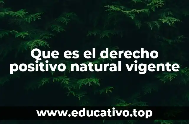 Que es el derecho positivo natural vigente