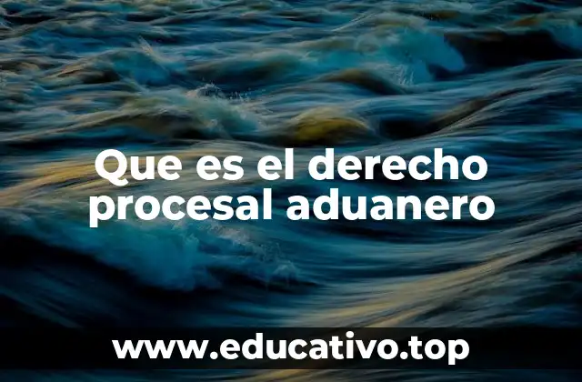 Que es el derecho procesal aduanero