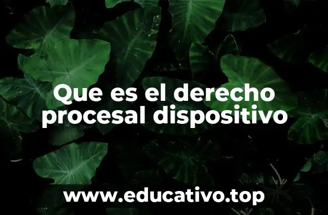 Que es el derecho procesal dispositivo