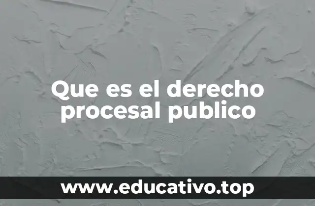 Que es el derecho procesal publico
