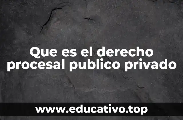 Diferencias entre los procesos jurídicos regulados por el derecho procesal público y privado