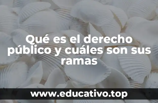 Qué es el derecho público y cuáles son sus ramas