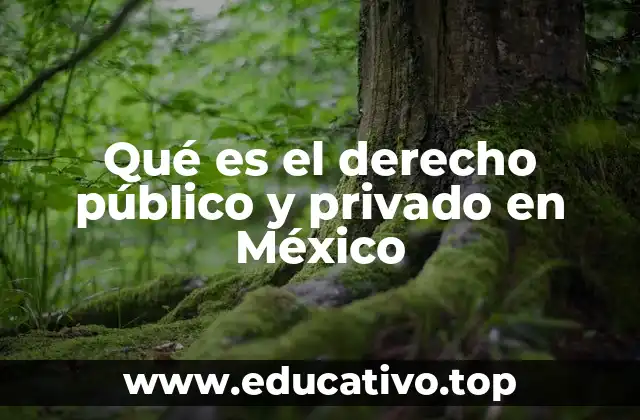 El papel del Estado en el sistema legal mexicano