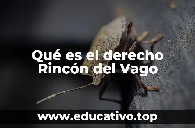 Qué es el derecho Rincón del Vago