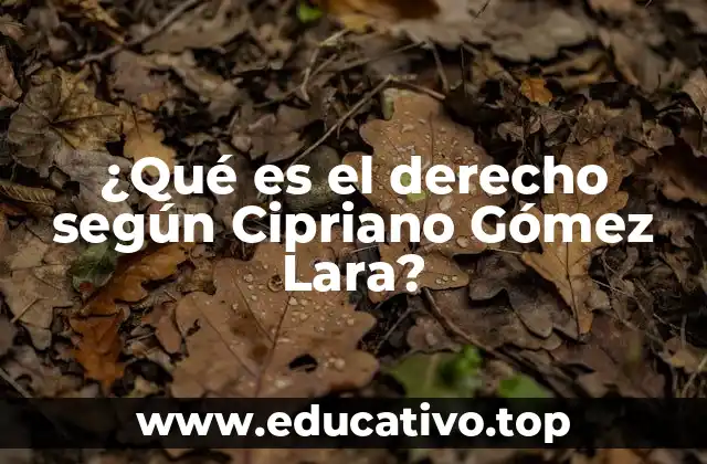 ¿Qué es el derecho según Cipriano Gómez Lara?