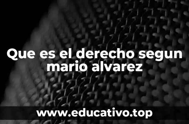 Que es el derecho segun mario alvarez