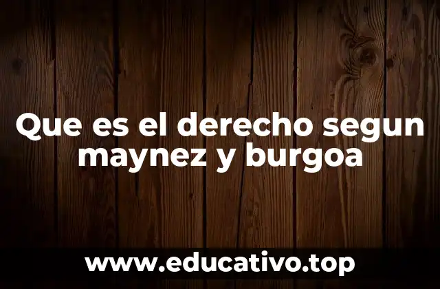 Que es el derecho segun maynez y burgoa
