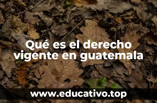 Qué es el derecho vigente en guatemala