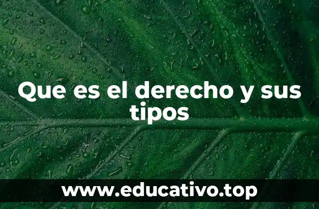 Que es el derecho y sus tipos