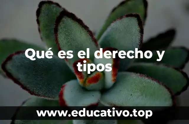 Qué es el derecho y tipos