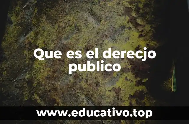 Que es el derecjo publico