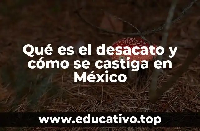Qué es el desacato y cómo se castiga en México