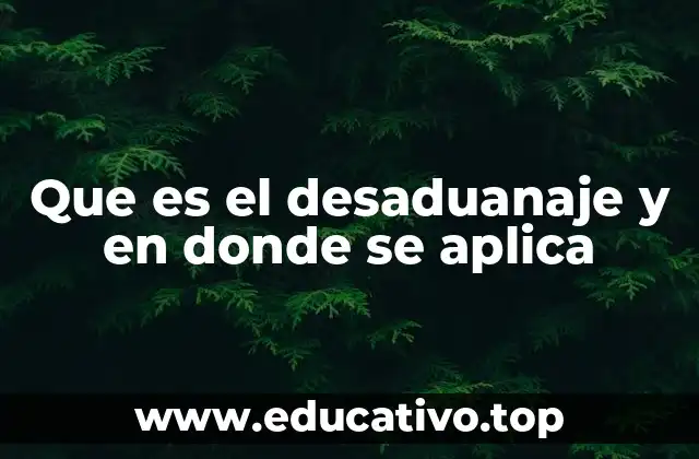 Que es el desaduanaje y en donde se aplica