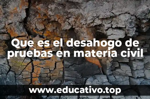 Que es el desahogo de pruebas en materia civil