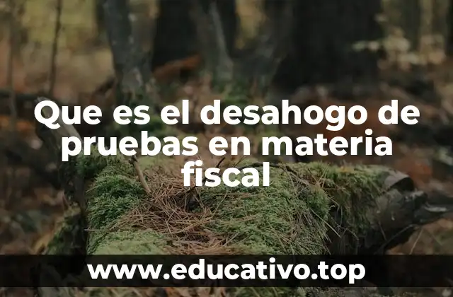 Que es el desahogo de pruebas en materia fiscal