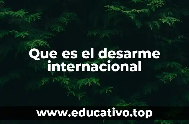 Que es el desarme internacional