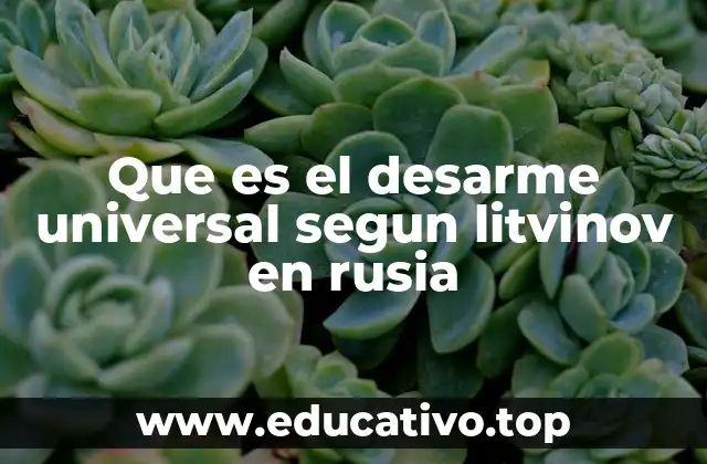 Que es el desarme universal segun litvinov en rusia