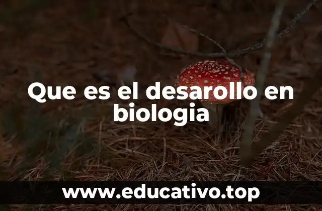 Que es el desarollo en biologia