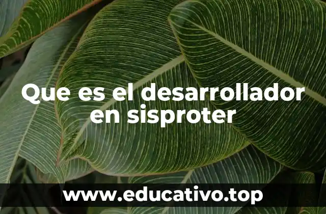 Que es el desarrollador en sisproter