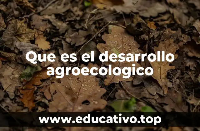 Que es el desarrollo agroecologico