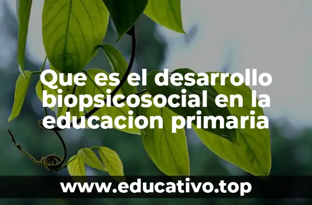 Que es el desarrollo biopsicosocial en la educacion primaria