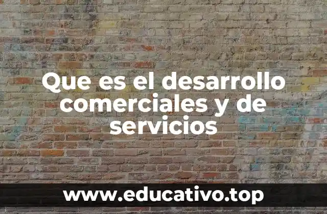 Que es el desarrollo comerciales y de servicios