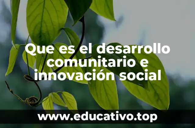 Que es el desarrollo comunitario e innovación social