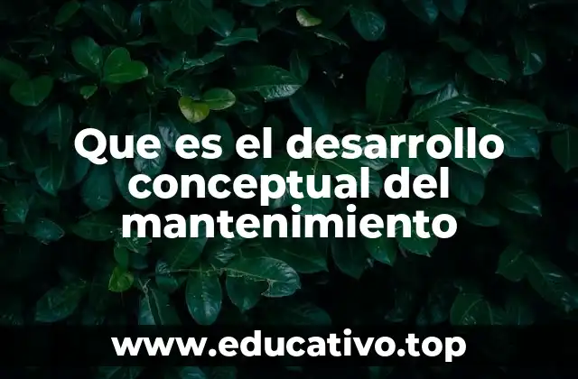 Que es el desarrollo conceptual del mantenimiento